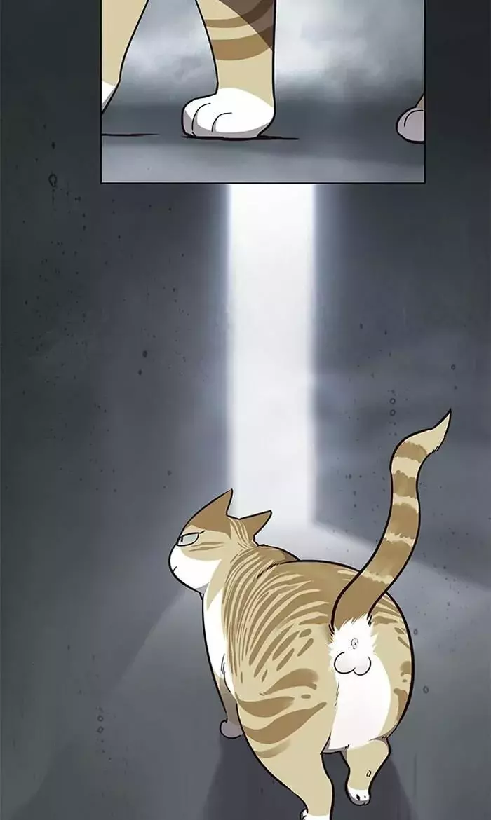 Read Lightning Degree ES Manga Online