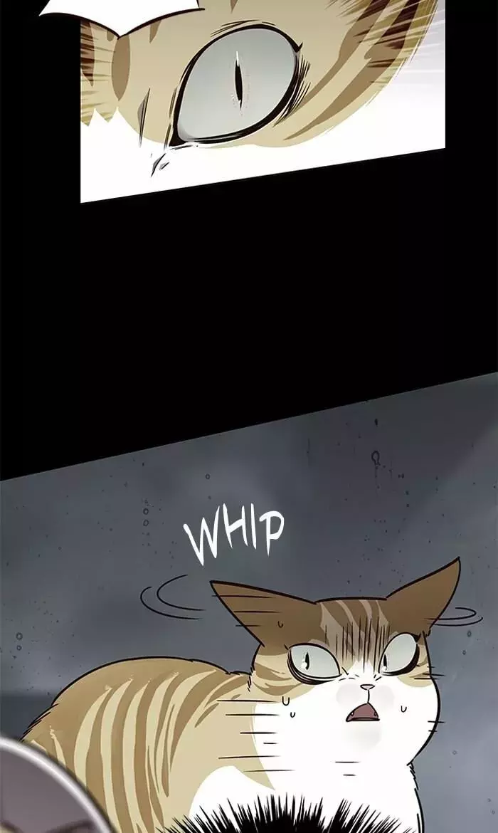 Read Lightning Degree ES Manga Online