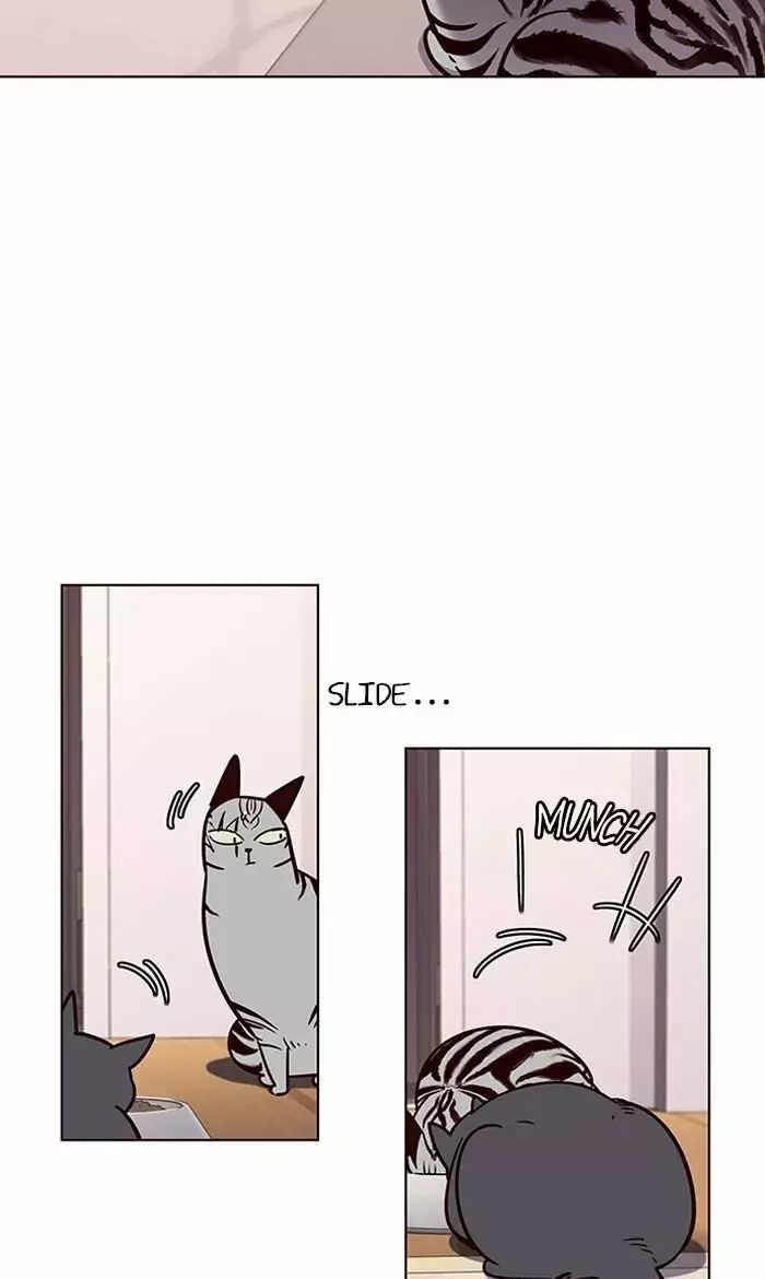 Read Lightning Degree ES Manga Online
