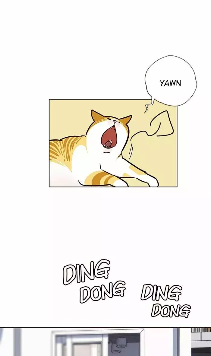 Read Lightning Degree ES Manga Online