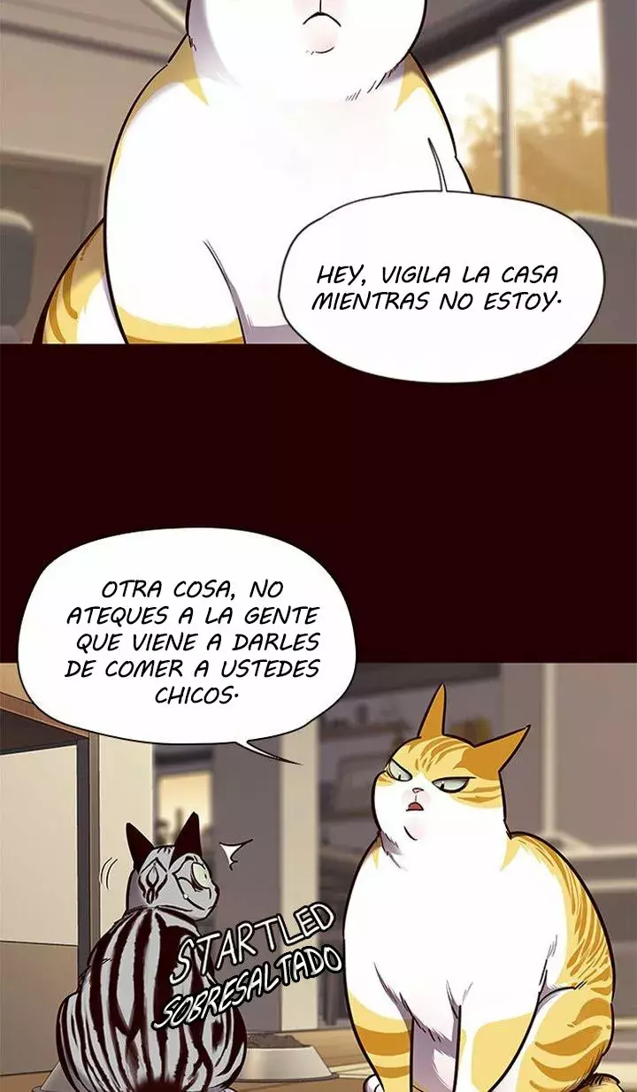 Read Lightning Degree ES Manga Online