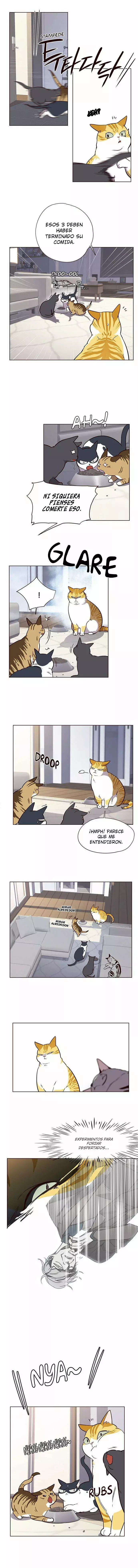 Read Lightning Degree ES Manga Online