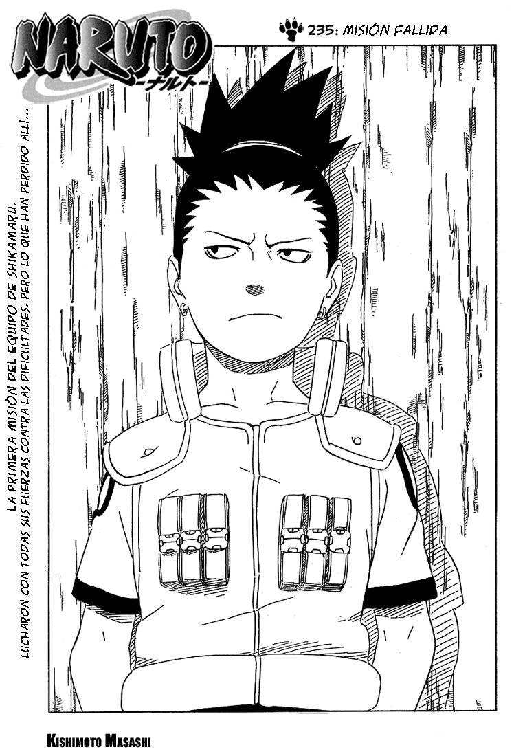 Read Naruto ES Manga Online