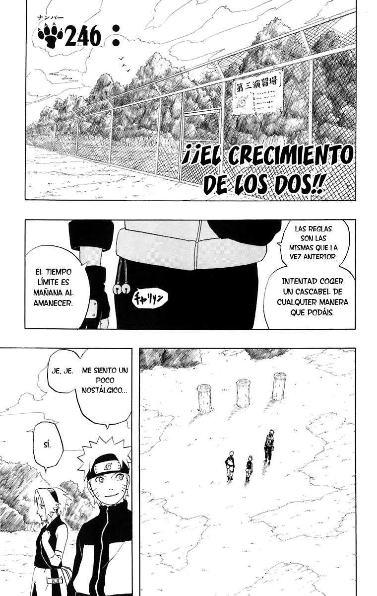 Read Naruto ES Manga Online
