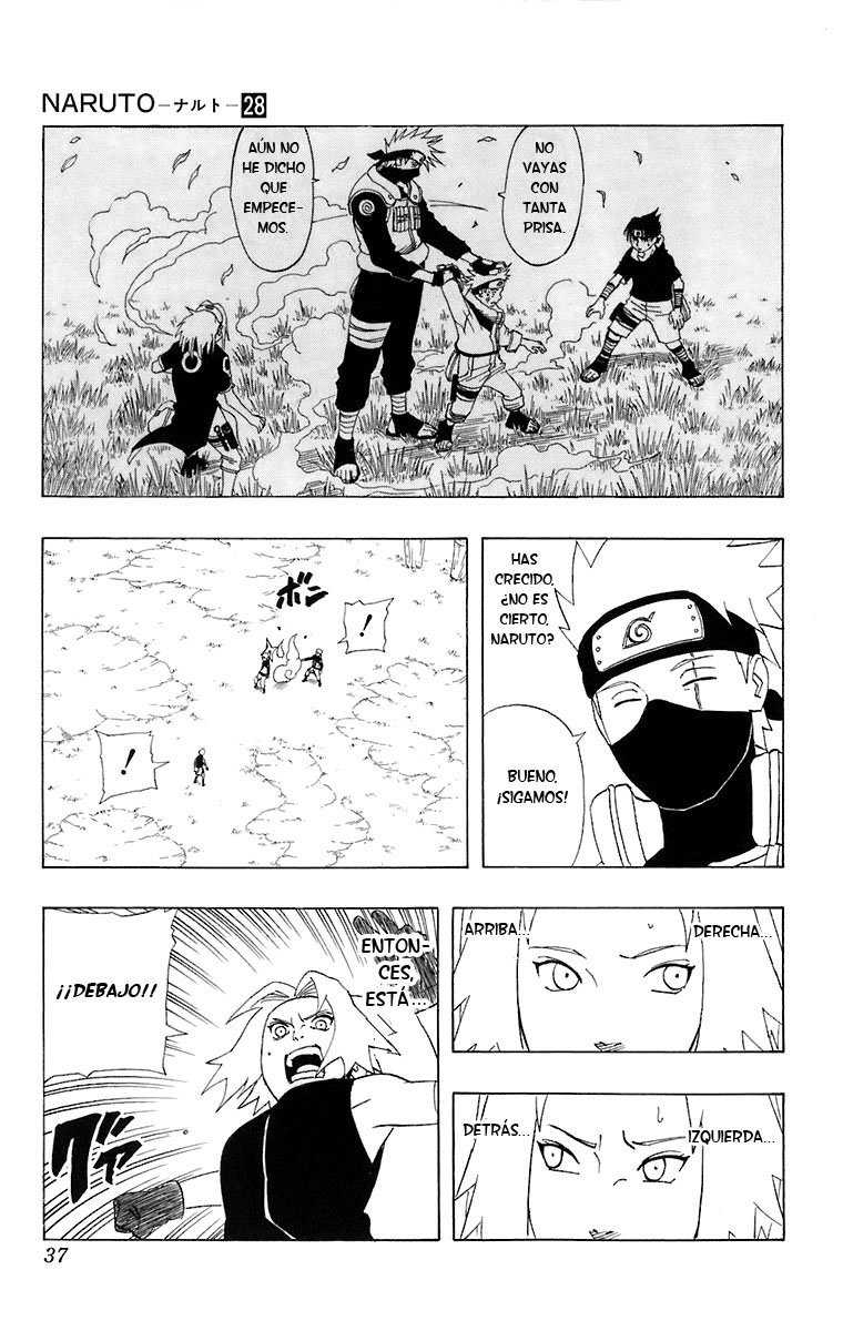 Read Naruto ES Manga Online