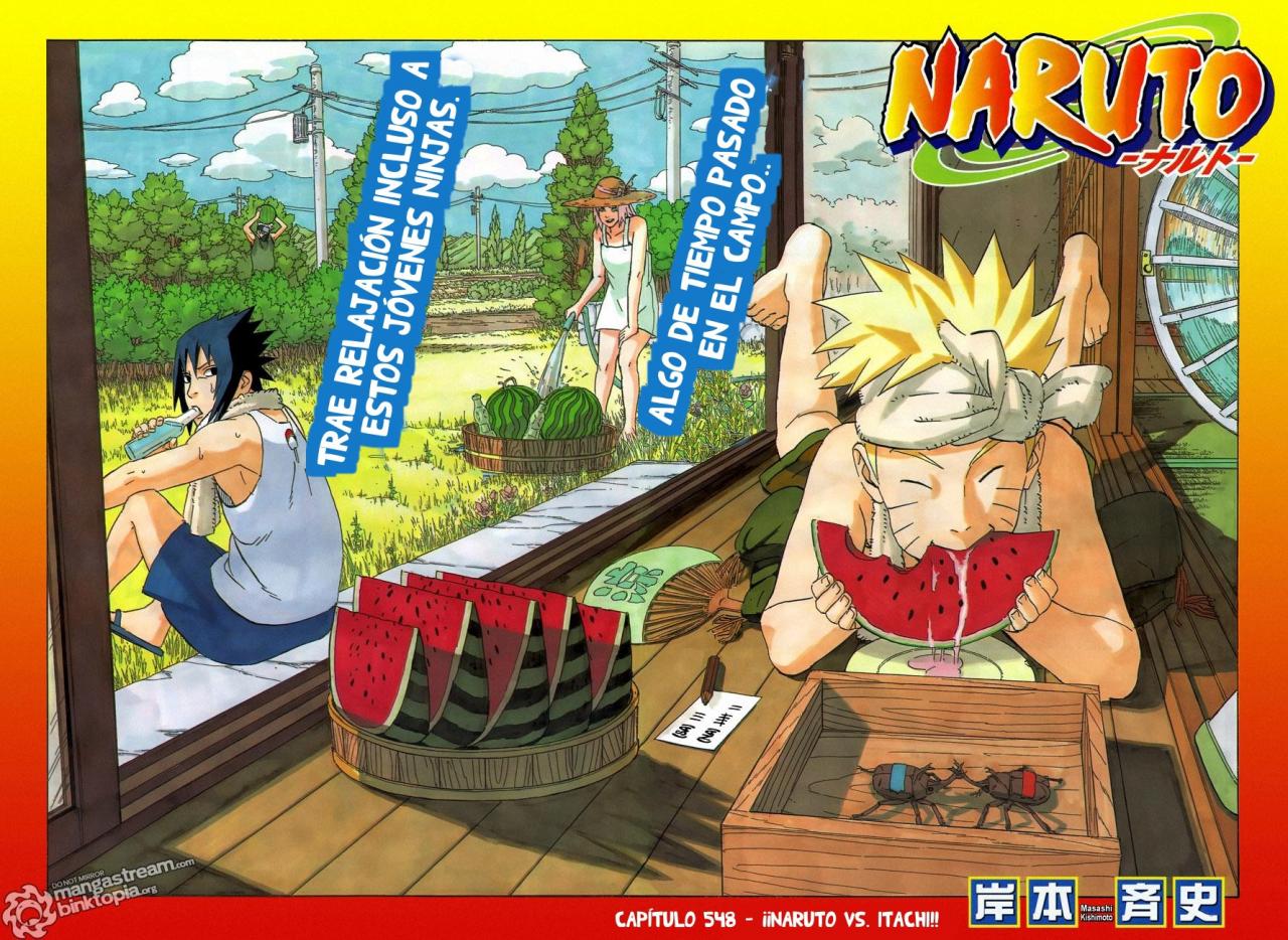 Read Naruto ES Manga Online