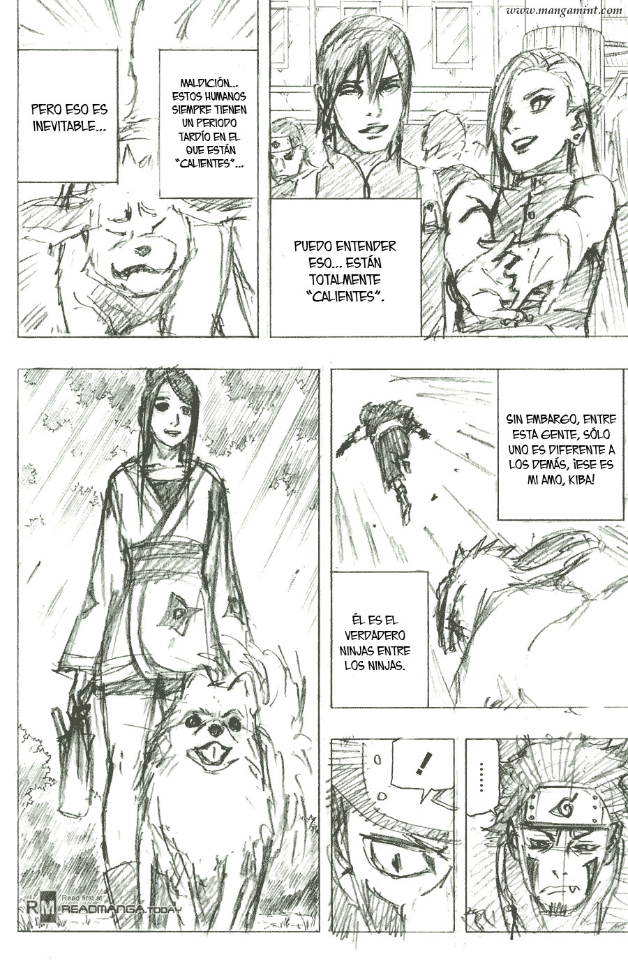 Read Naruto ES Manga Online