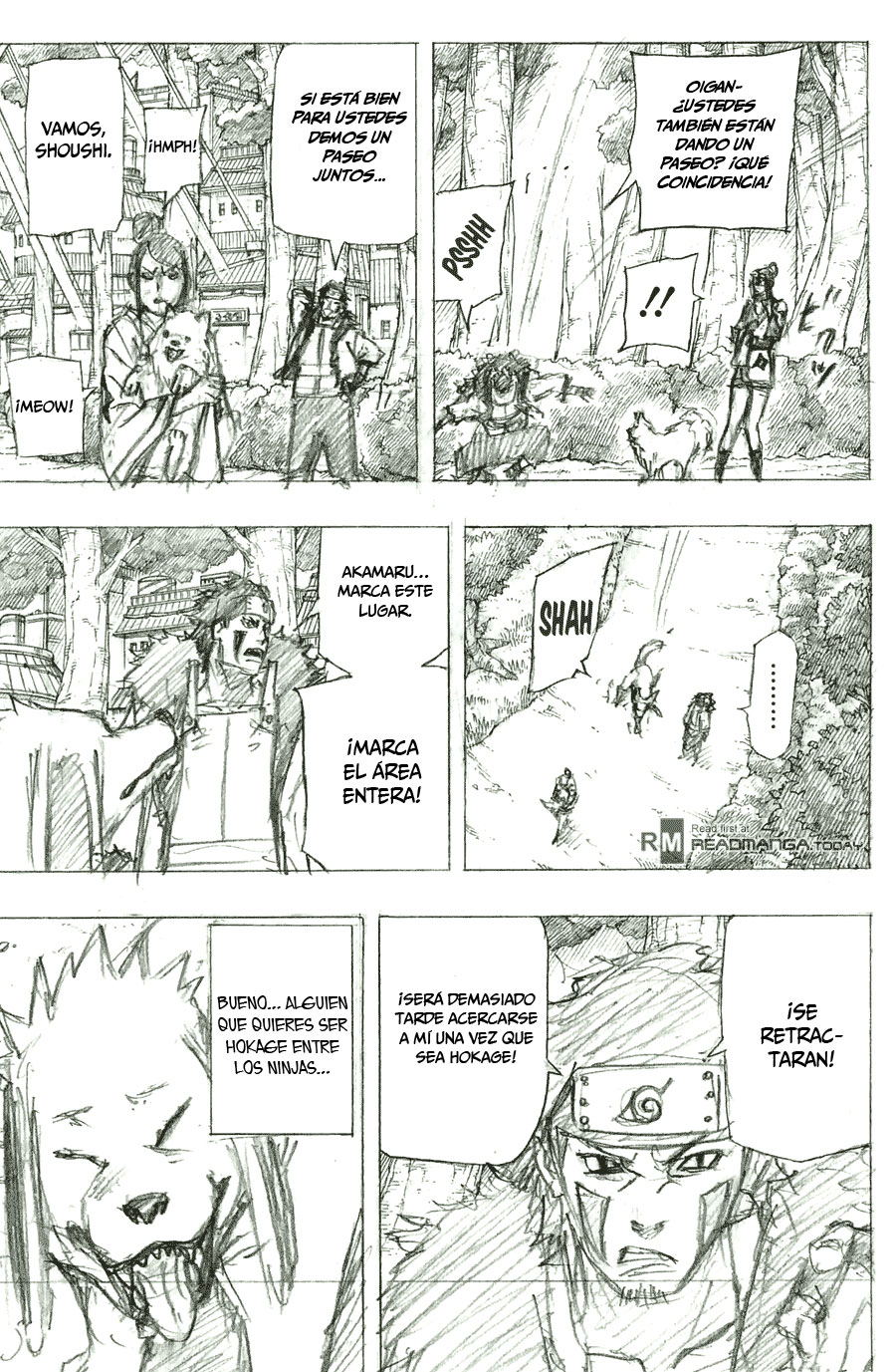 Read Naruto ES Manga Online