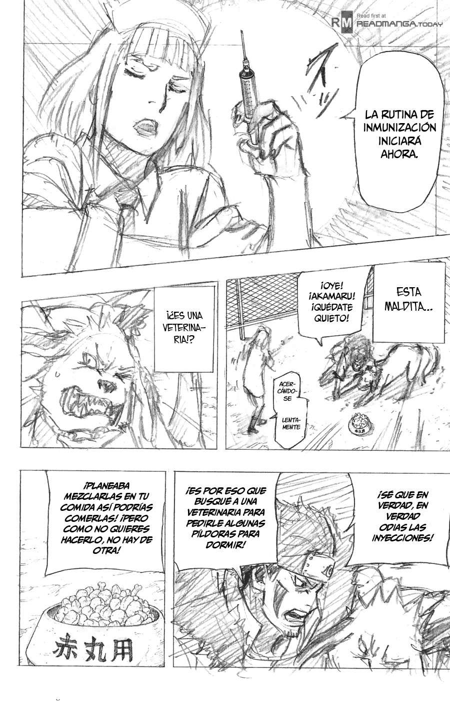 Read Naruto ES Manga Online
