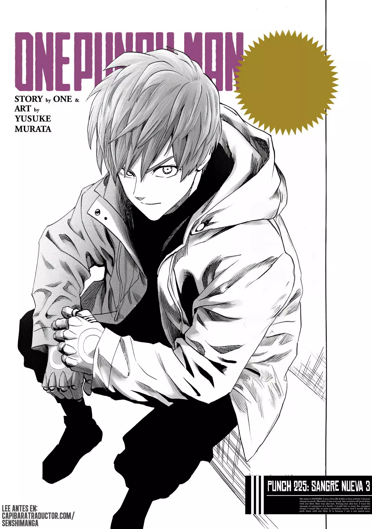 Read One Punch-Man ES Manga Online