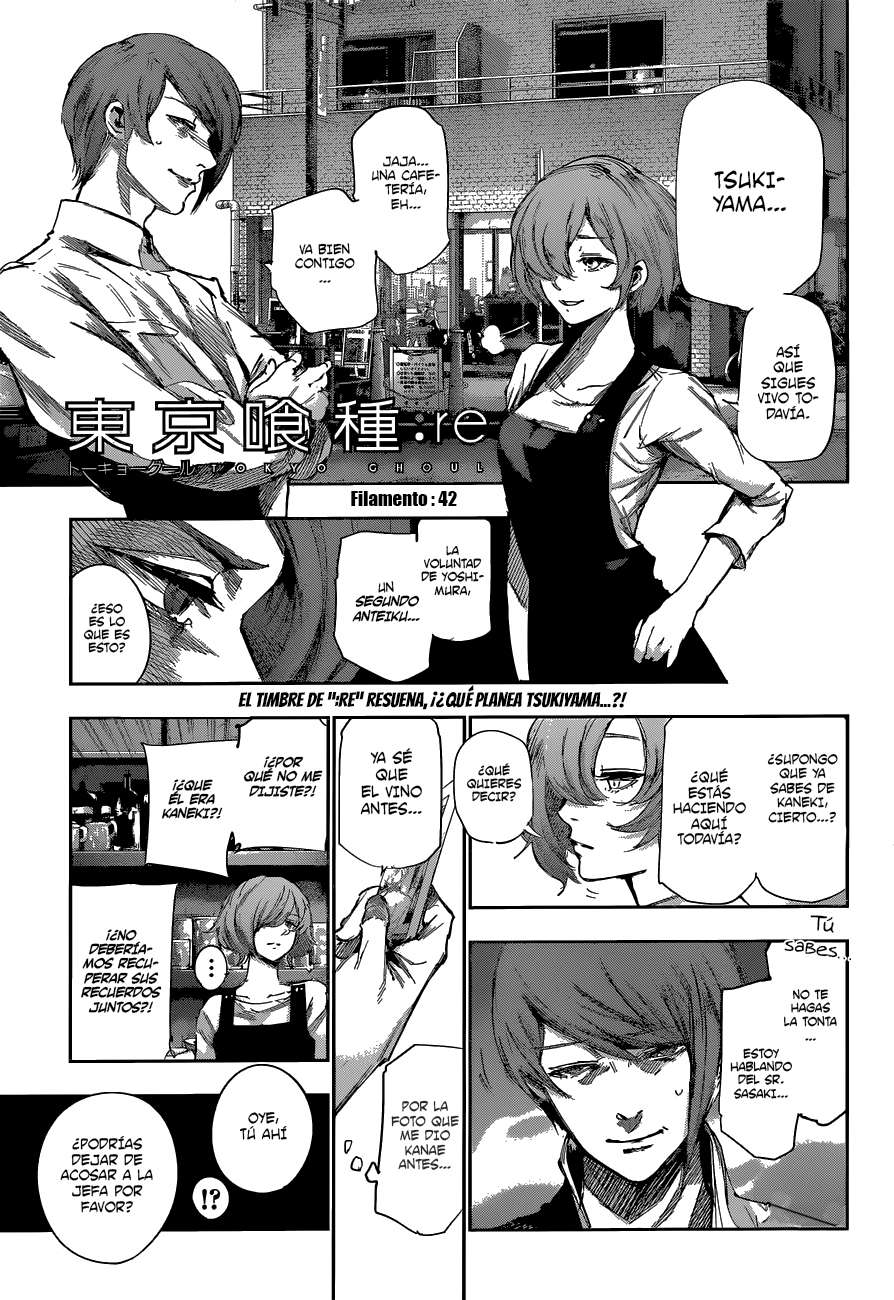 Read Tokyo Ghoulre ES Manga Online