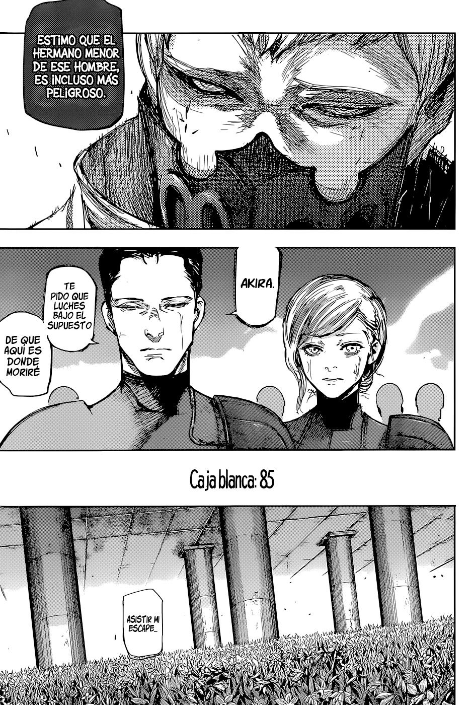 Read Tokyo Ghoulre ES Manga Online